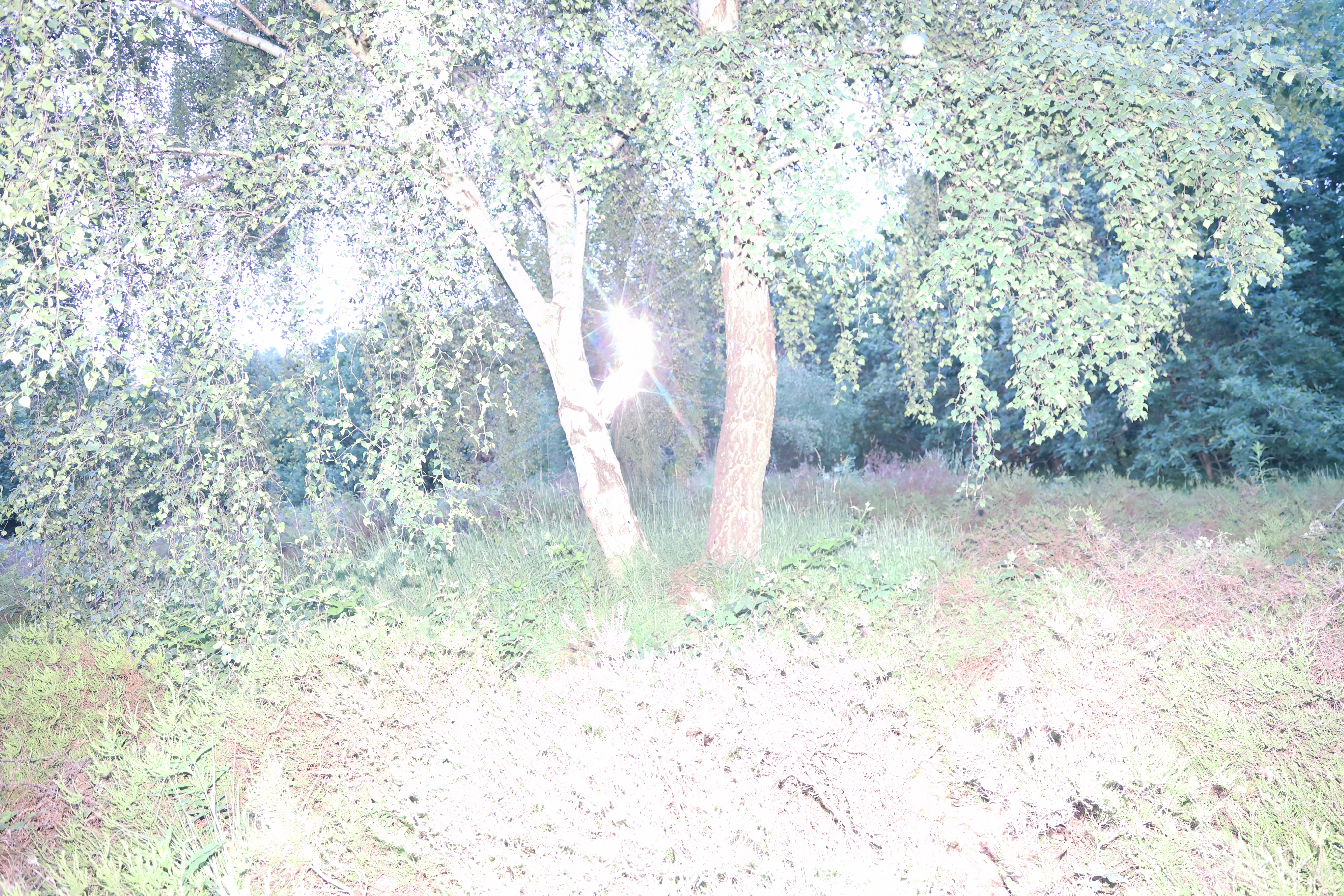 Fallen Star project image 2